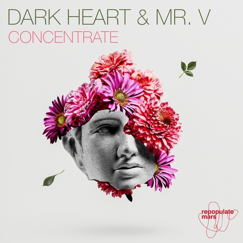 Mr. V, Dark Heart - Concentrate [RPM137] AIFF